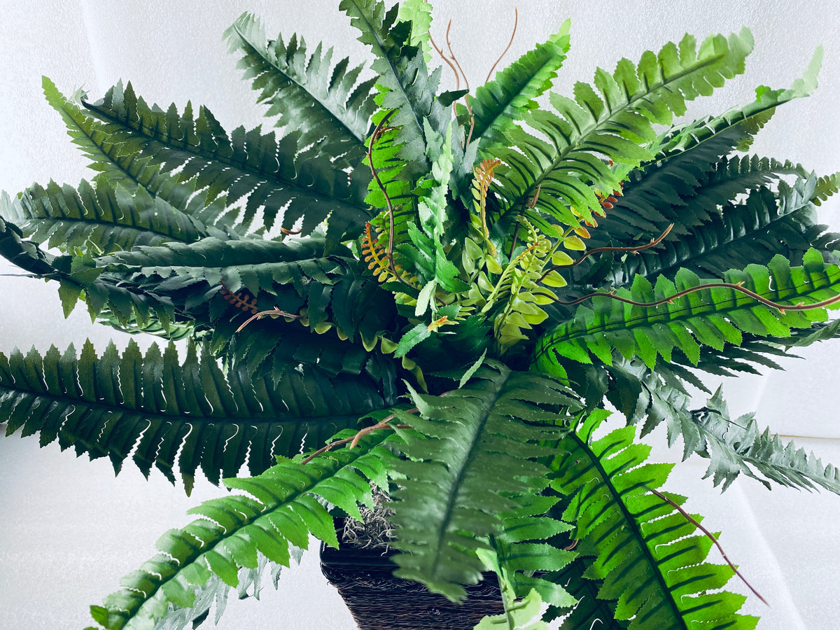 New Open Box Nearly Natural 23in Artificial Boston Fern With Wicker Basket