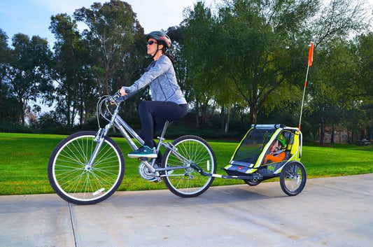 Allen Sports Deluxe Steel 2 Child Bike Trailer, Green