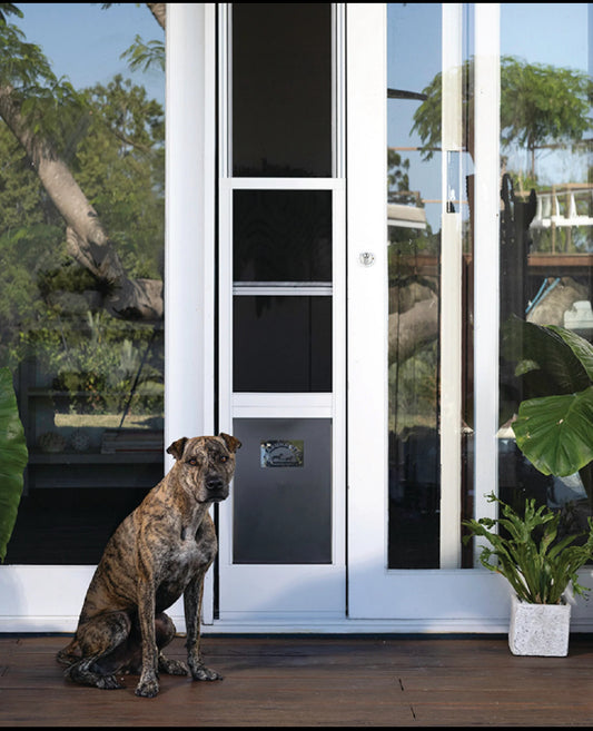New Open Box - Mesh Sliding Patio Pet Door (V2) + Clear Weather Resistant Panel