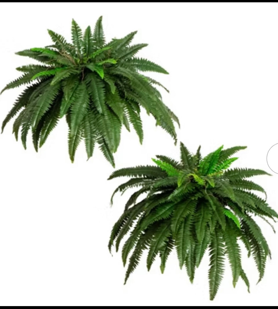 New Open Box Nearly Natural 48” Boston Ferns, Green