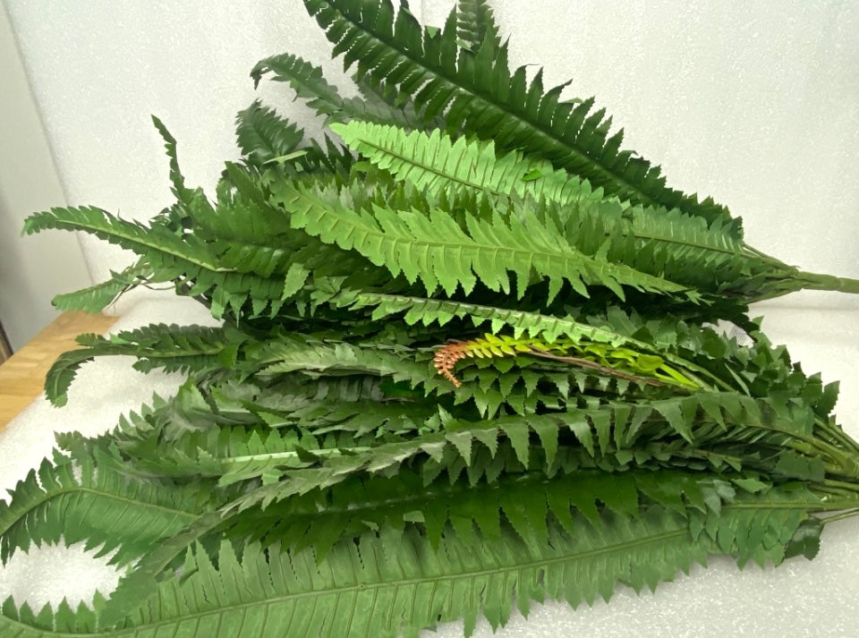 New Open Box Nearly Natural 48” Boston Ferns, Green