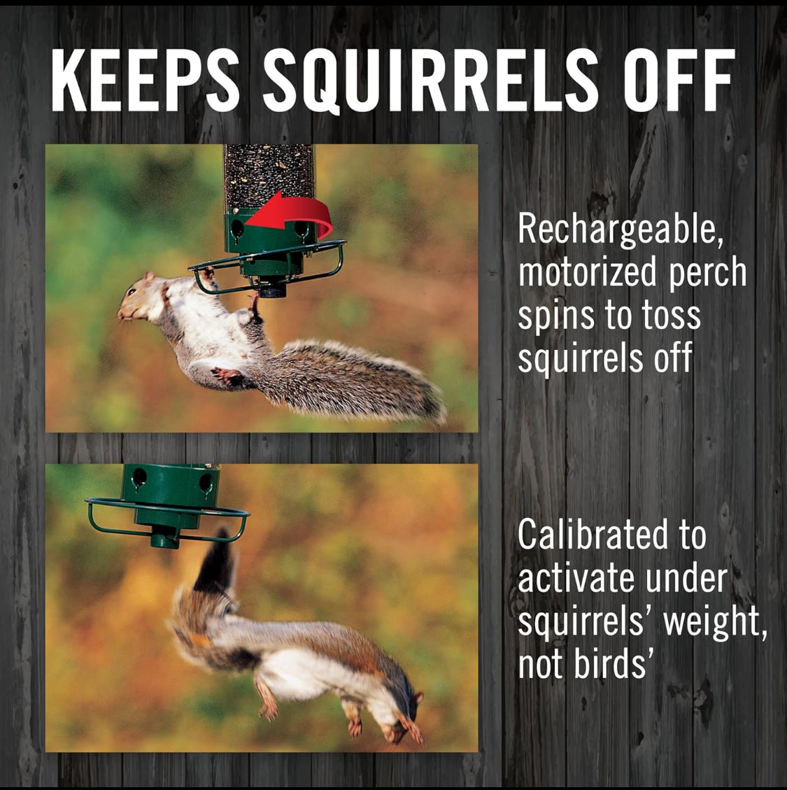 New Other Droll Yankees Squirrel Proof Rechargeable 5lb Bird Feeder For Outdoors