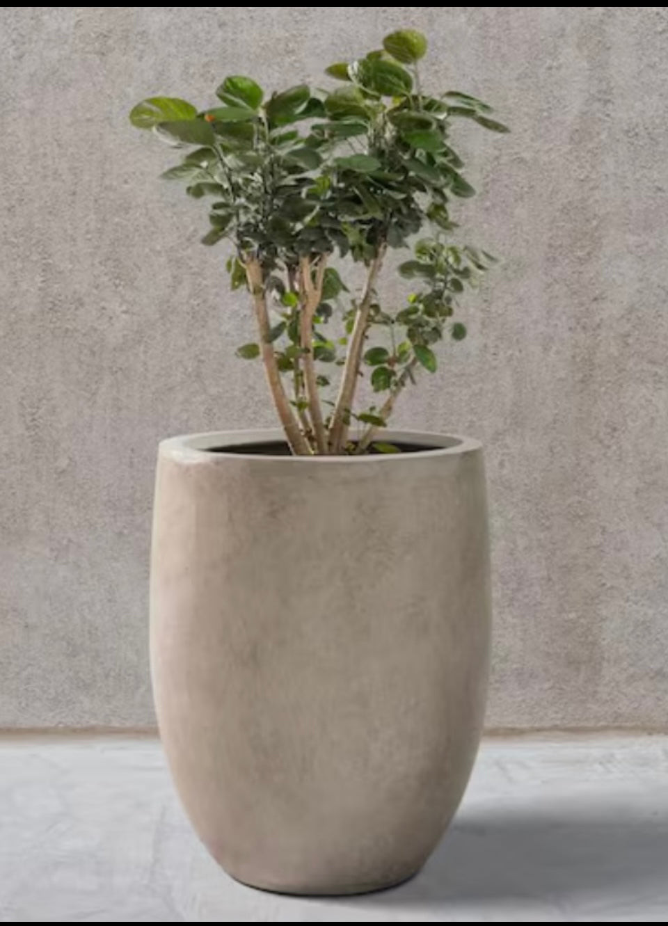New Kante 21.7” Weathered Concrete Tall Modern Round Large Planter W/ Rubber Plug
