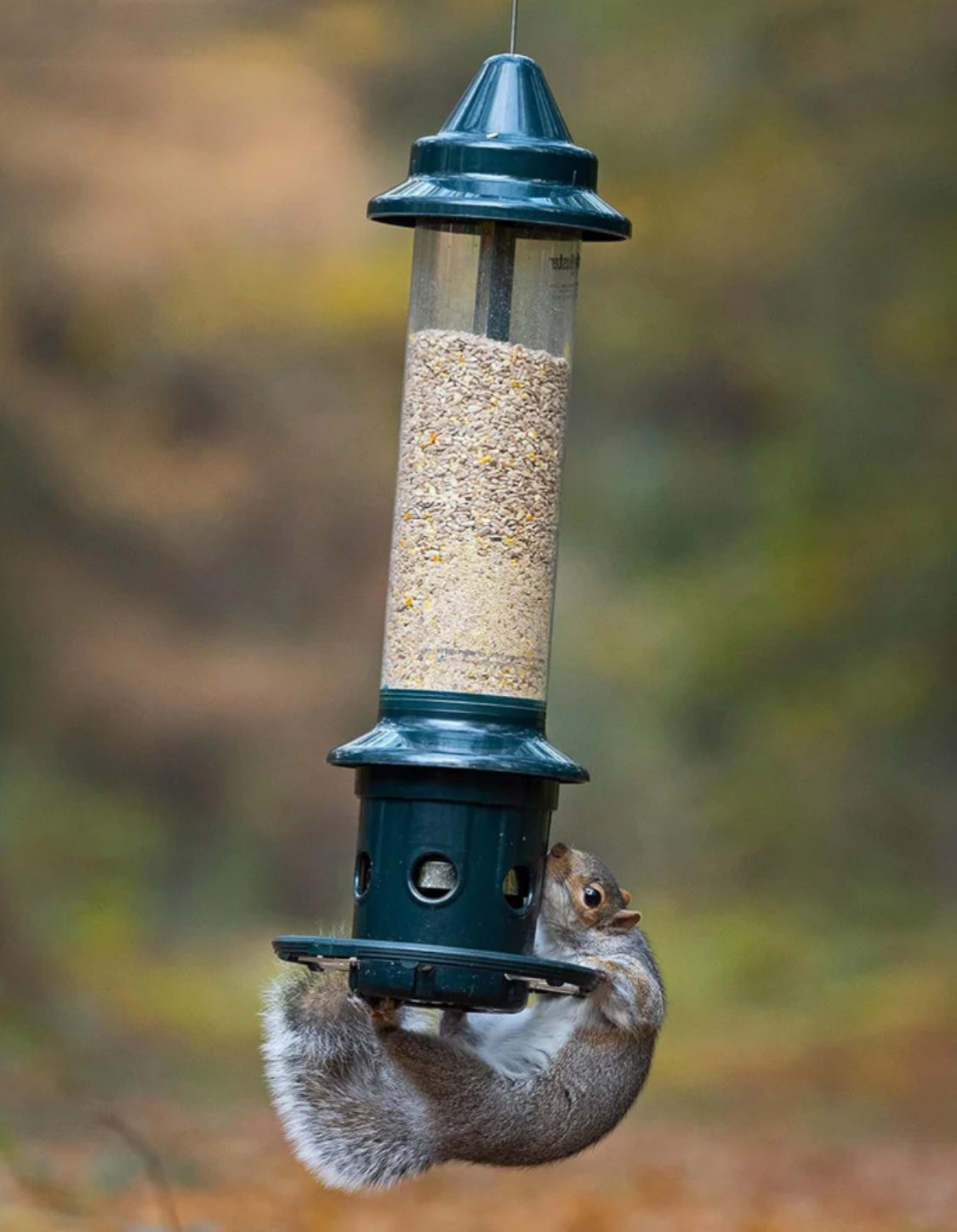 New Other Brome Squirrel Buster Plus Bird Feeder With 5.2lb. Capacity, Green