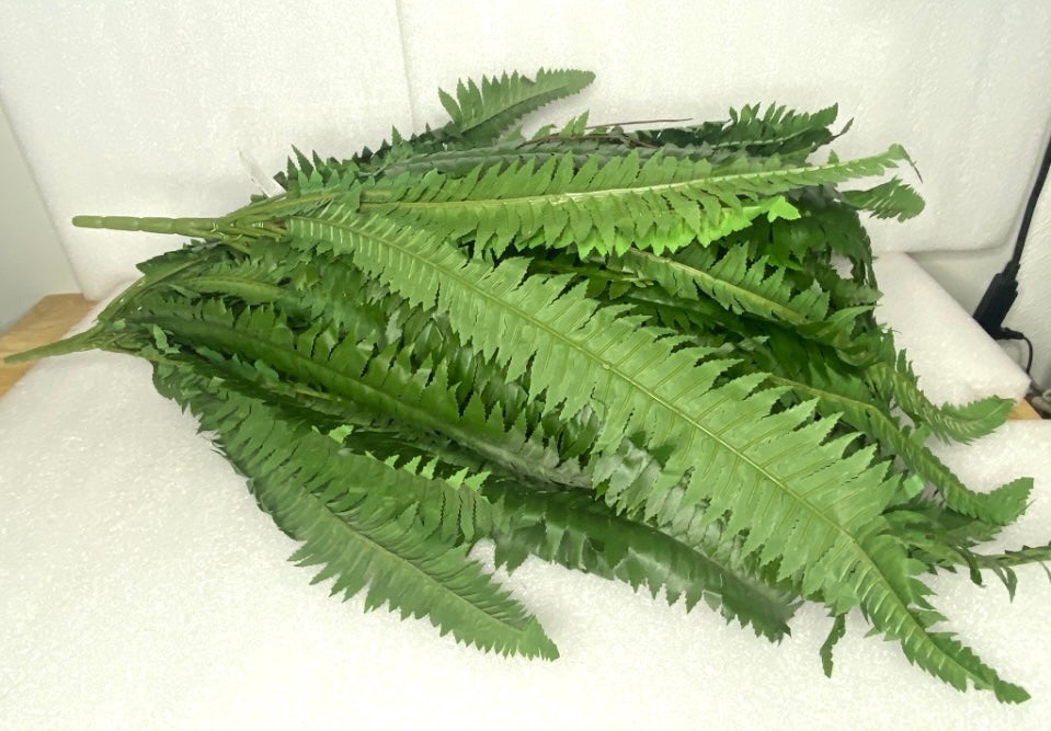 New Open Box Nearly Natural 48” Boston Ferns, Green