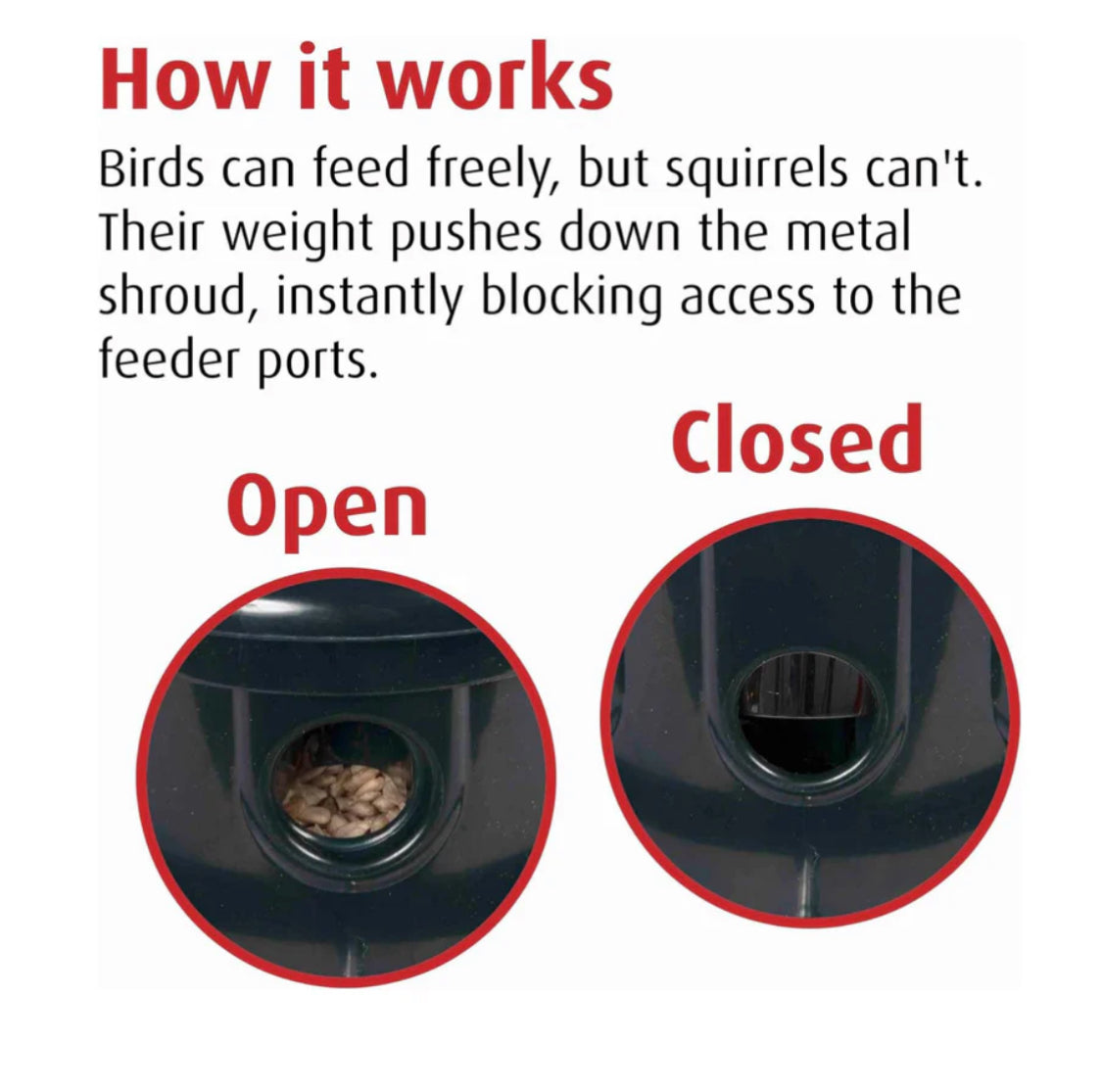 New Other Brome Squirrel Buster Plus Bird Feeder With 5.2lb. Capacity, Green