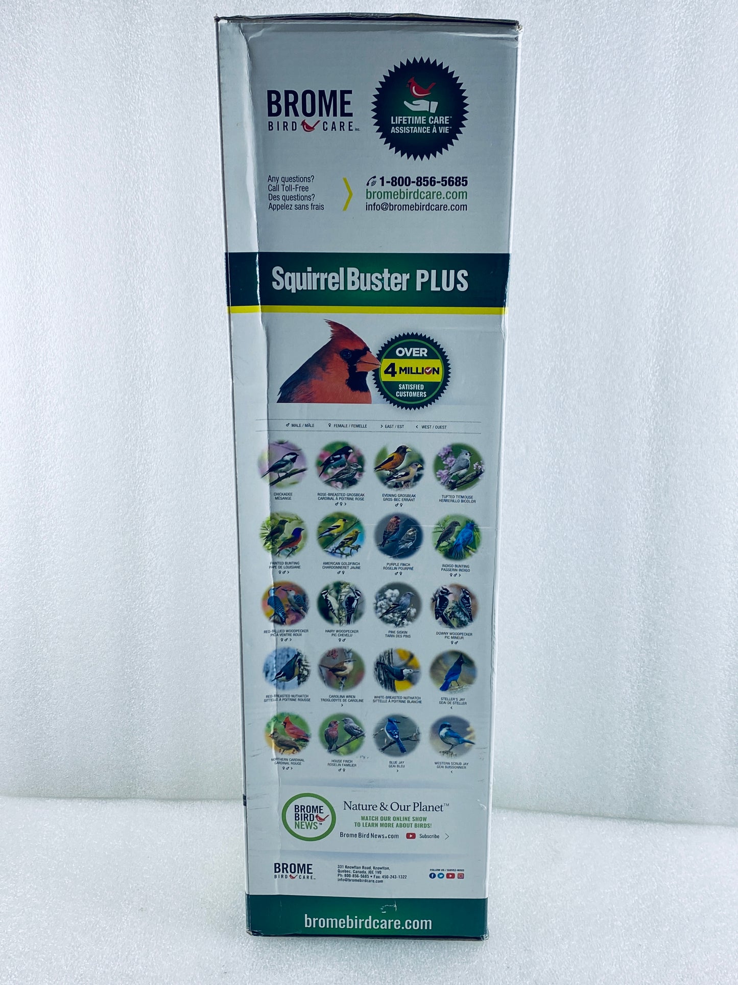 New Other Brome Squirrel Buster Plus Bird Feeder With 5.2lb. Capacity, Green