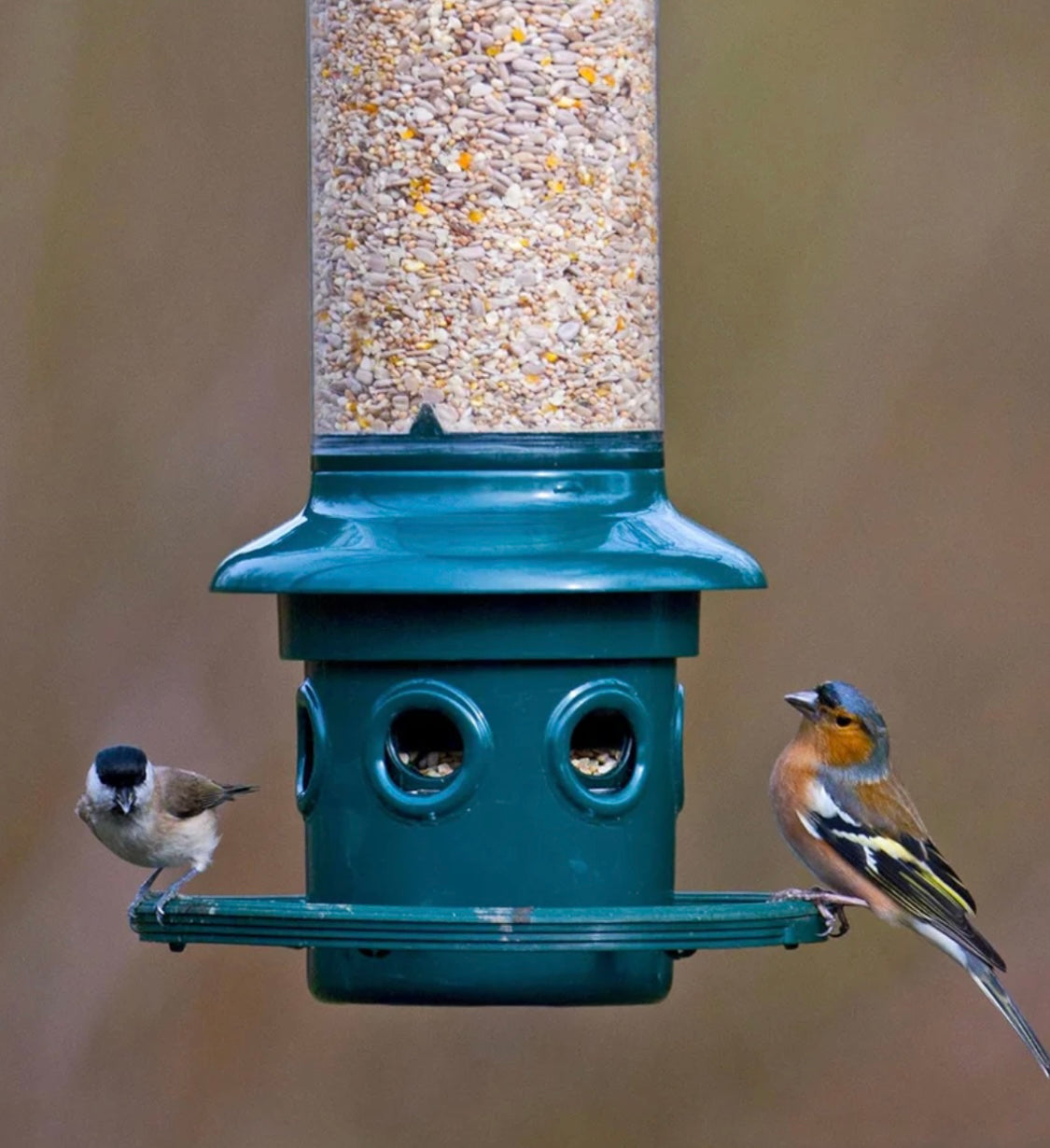New Other Brome Squirrel Buster Plus Bird Feeder With 5.2lb. Capacity, Green