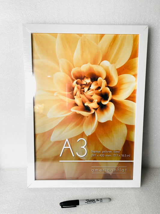 #240 - New Sealed 11.7" x 16.5" Picture Glass Frame - (AS SHOWN)