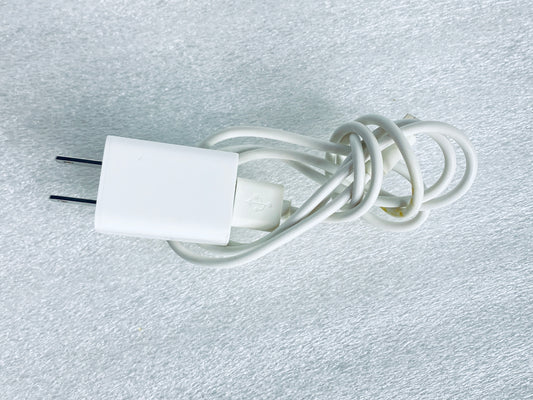 blink Sync Module 2 Approx. 40" Micro USB Power Cable & AC Adapter, White - READ