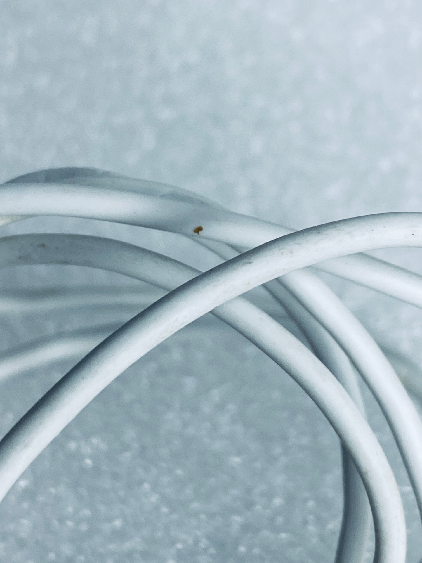 owlet Dream Smart Sock 3 USB To USB-C White Charging Cord/Cable - (READ)