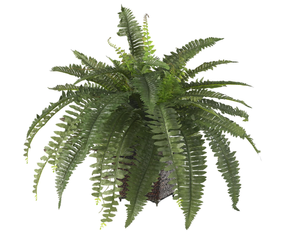 New Open Box Nearly Natural 23in Artificial Boston Fern With Wicker Basket